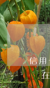 信用卡有逾期還完之后再注銷(征信逾期記錄還在,但信用卡已注銷怎么辦?)