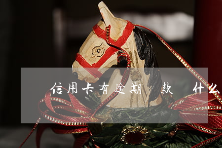 信用卡有逾期還款嗎(什么叫信用卡逾期還款)