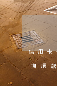 信用卡有逾期還款能信用貸款嗎(信用卡有逾期還款能信用貸款嗎怎么還)