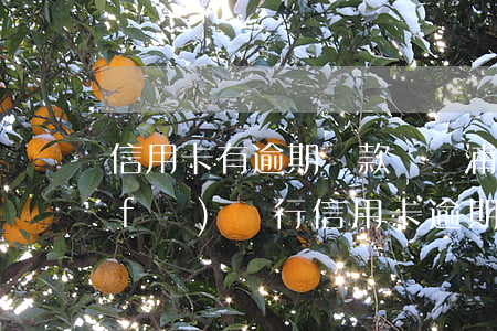 信用卡有逾期還款記錄浦發(fā)(浦發(fā)銀行信用卡 逾期)