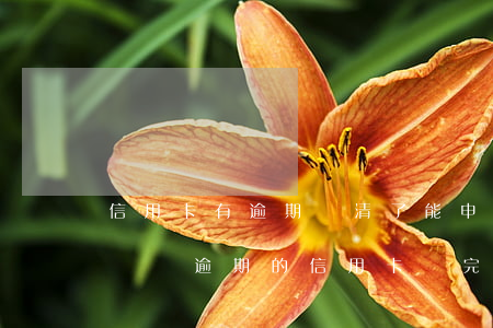 信用卡有逾期還清了能申請(qǐng)解凍嗎 逾期的信用卡還完可以注銷(xiāo)嗎