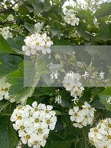 信用卡有逾期還清了能申請解凍嗎 逾期的信用卡還完可以注銷嗎