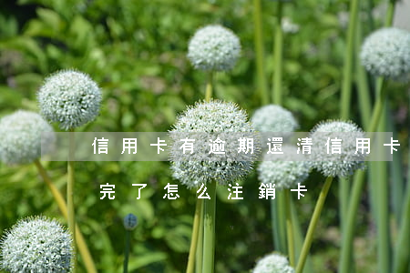 信用卡有逾期還清信用卡能注銷(欠信用卡還完了怎么注銷卡)