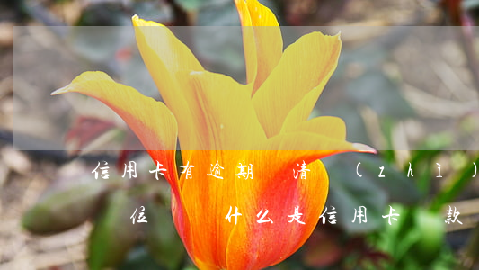信用卡有逾期還清質(zhì)怎么車位貸(車位貸為什么是信用卡還款)