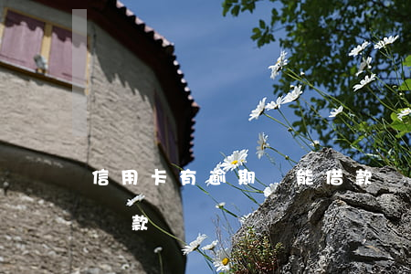 信用卡有逾期還能借款嗎(信用卡逾期后還能貸款嗎)