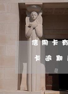 信用卡有逾期還能做擔(dān)保嗎(信用卡逾期后用保單能貸款嗎)