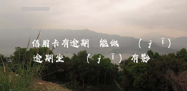 信用卡有逾期還能做飛機(jī)嗎(信用卡逾期坐飛機(jī)有影響嗎)