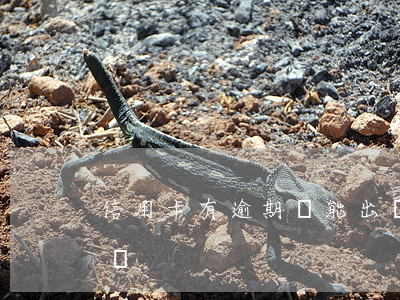 信用卡有逾期還能出國么(銀行卡逾期能出國嗎)