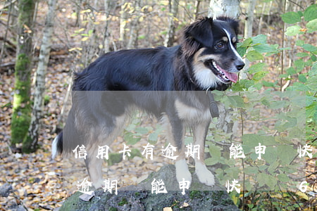 信用卡有逾期還能申請快貸嗎6-信用卡有逾期還能申請快貸嗎6萬