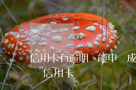 信用卡有逾期還能申請成功嗎(有逾期可以申請信用卡嗎)