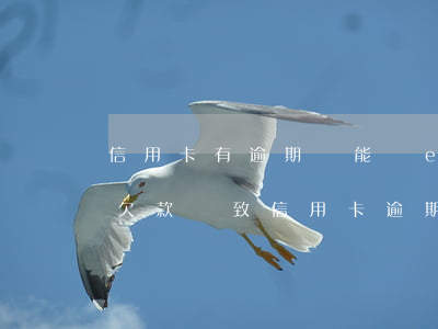 信用卡有逾期還能辦etc嗎 因為etc卡欠款導致信用卡逾期怎么辦