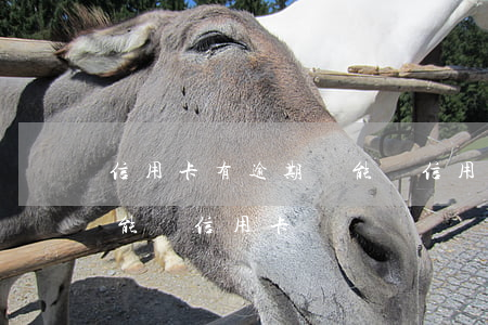 信用卡有逾期還能辦信用卡嗎6(逾期嚴重還能辦信用卡嗎)
