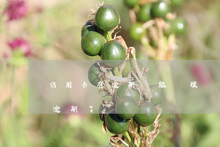 信用卡有逾期還能辦理車貸嗎(車貸是信用卡逾期了)