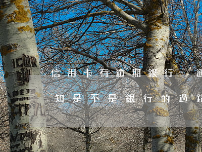信用卡有逾期銀行沒通知書(銀行逾期沒有通知是不是銀行的過錯)