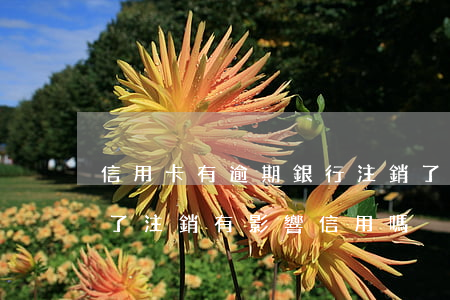 信用卡有逾期銀行注銷了卡(信用卡逾期還清了注銷有影響信用嗎)