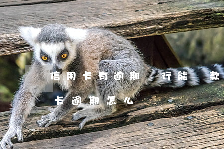 信用卡有逾期銀行能貸款嗎(銀行貸款有信用卡逾期怎么辦)
