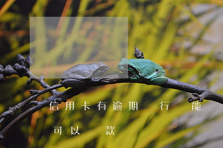 信用卡有逾期銀行還能貸款么(銀行卡逾期還可以貸款嗎)