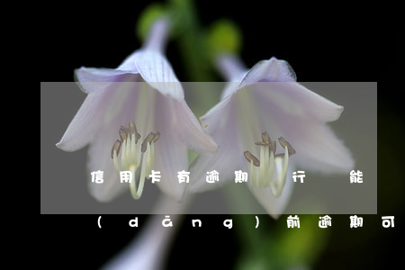 信用卡有逾期銀行還能貸款嗎-有信用卡當(dāng)前逾期可以貸款嗎