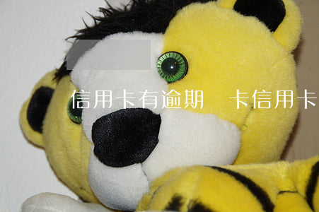 信用卡 有逾期 銷卡(信用卡 有逾期 銷卡)