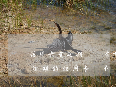 信用卡有逾期銷戶有影響嗎(有過(guò)逾期的信用卡該不該銷卡)