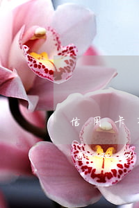 信用卡有逾期银行通知吗（信用卡有逾期银行通知吗）