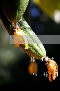 信用卡有逾期閃銀能下款嗎(閃銀逾期了會上征信嗎)