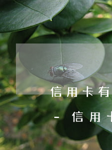 信用卡有逾期開(kāi)證明能不能貸款-信用卡有逾期開(kāi)證明能不能貸款買(mǎi)房