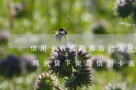 信用卡有逾期面簽已過房貸會(huì)批嗎(房貸下來后信用卡逾期)