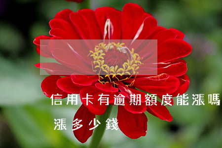 信用卡有逾期額度能漲嗎(信用卡逾期最多能漲多少錢)