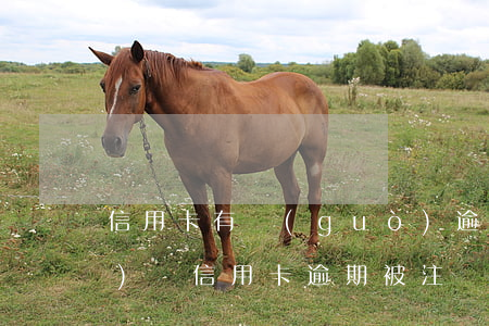 信用卡有過(guò)逾期注銷(xiāo)嗎(信用卡逾期被注銷(xiāo)了是什么意思)