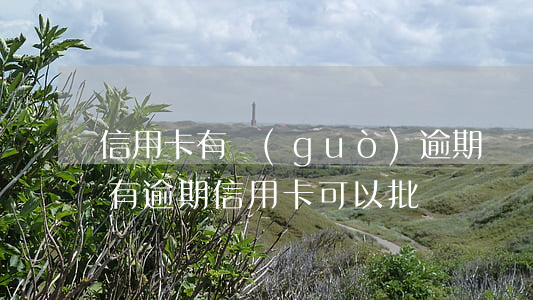 信用卡有過(guò)逾期簽證好簽不(征信有逾期信用卡可以批嗎)
