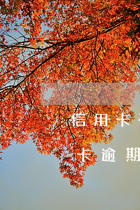 信用卡有過(guò)逾期能改名字嗎(信用卡逾期記錄可以更改嗎)