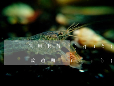 信用卡有過(guò)逾期還能辦房貸嗎(貸款逾期過(guò)能辦信用卡嗎)