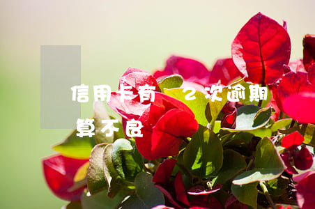 信用卡有過2次逾期記錄(有一次信用卡逾期算不良記錄嗎)
