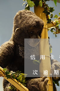 信用卡有過5次逾期記錄嗎(同一張信用卡多次逾期,有些已超過5年)