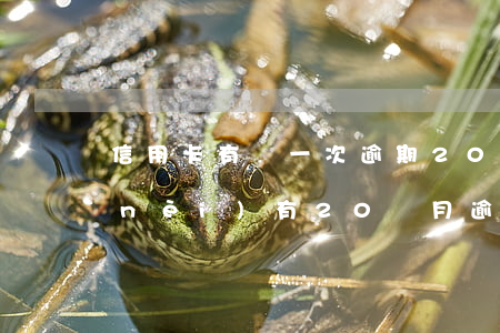 信用卡有過一次逾期20天(信用卡5年內(nèi)有20個月逾期)