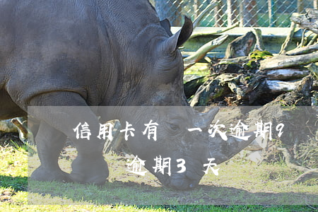 信用卡有過一次逾期9塊錢記錄(信用卡10塊錢逾期3天)