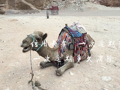 信用卡有過一次逾期多久消除-信用卡有過一次逾期多久消除