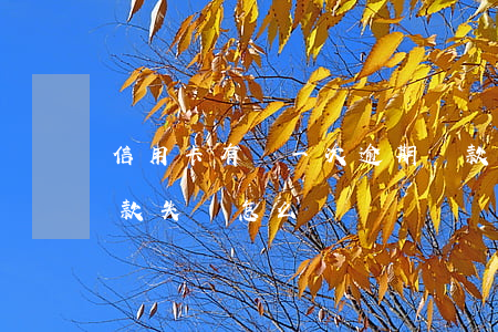 信用卡有過一次逾期還款(信用卡逾期一年還款失敗怎么辦)