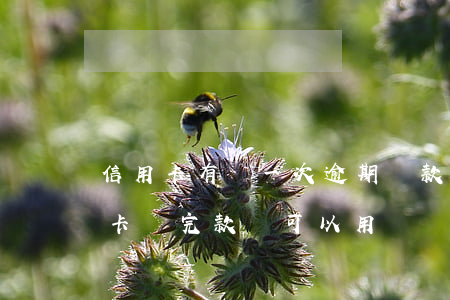信用卡有過一次逾期還款嗎(逾期幾年的信用卡還完款還可以用嗎)