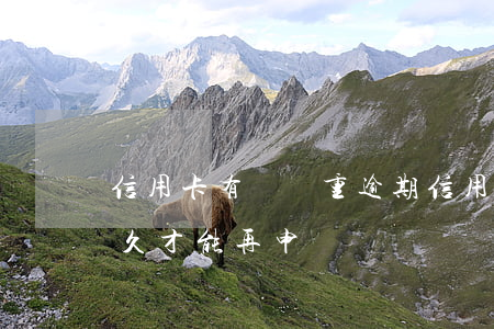 信用卡有過嚴重逾期(信用卡有過嚴重逾期多久才能再申請)