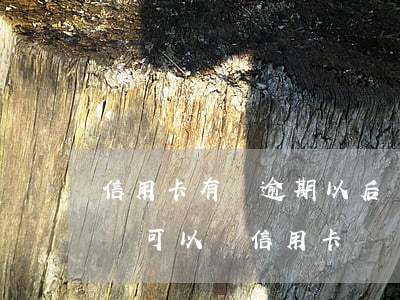 信用卡有過逾期以后還能辦理嗎(如果有逾期還可以辦信用卡嗎)