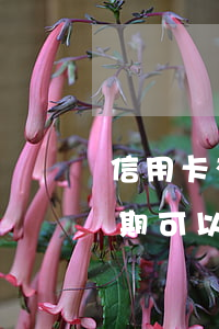 信用卡有過逾期可以出去玩嗎(信用卡有過逾期可以出去玩嗎)