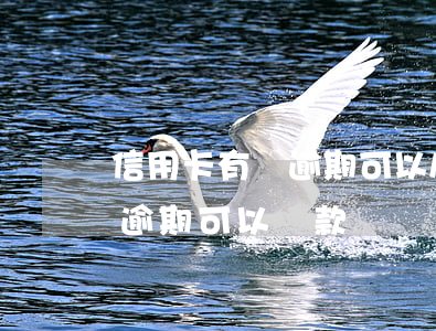 信用卡有過逾期可以房貸嗎(買房子信用卡有逾期可以貸款嗎)