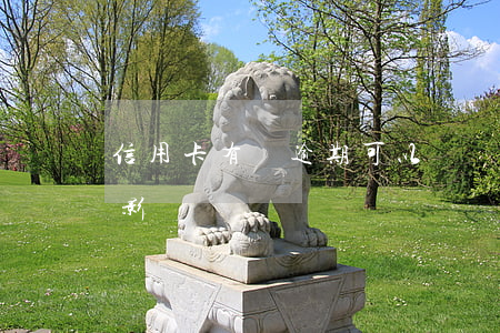 信用卡有過逾期可以搖號嘛(搖號逾期有什么影響)
