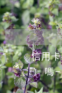 信用卡有過逾期可以重新再申請(qǐng)嗎-信用卡有過逾期可以重新再申請(qǐng)嗎知乎