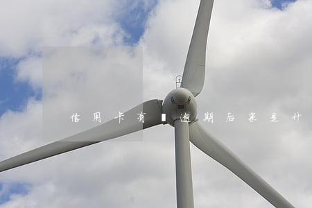信用卡有過逾期后果是什么