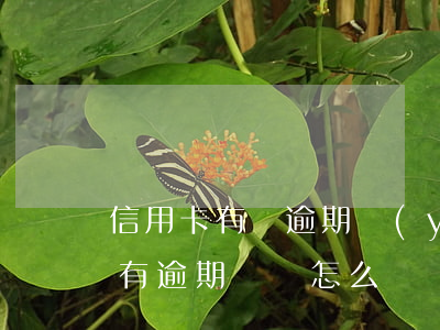 信用卡有過逾期嚴(yán)重嗎(我信用卡有逾期記錄怎么辦)