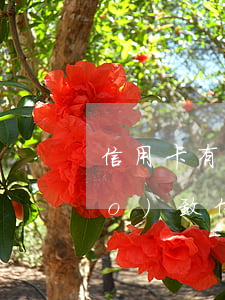 信用卡有過逾期影響政審么(被拘留導(dǎo)致信用卡逾期會影響征信嗎)