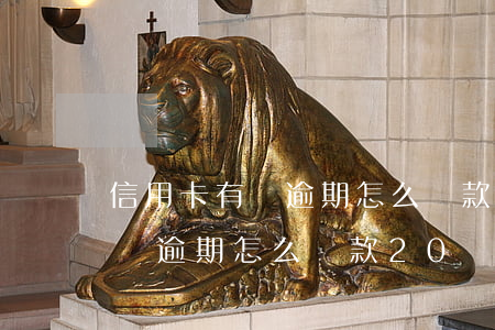 信用卡有過逾期怎么貸款20萬-信用卡有過逾期怎么貸款20萬元